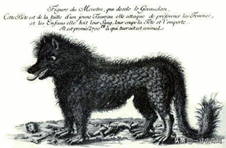 18世纪的热沃当怪兽三年扑咬致死200多人吞食96人的凶残怪兽