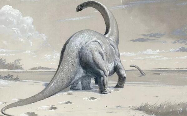 门多萨龙：阿根廷超巨型恐龙（长25米-距今8900万年前）