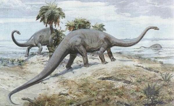 门多萨龙：阿根廷超巨型恐龙（长25米-距今8900万年前）