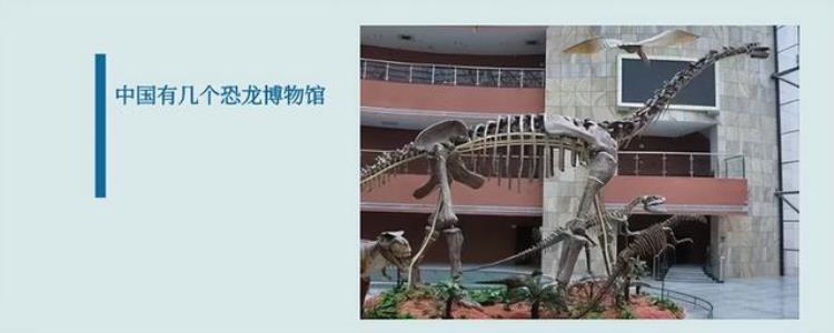 中国有哪些博物馆有恐龙化石,国内恐龙化石展览馆