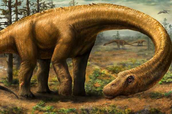 胜王龙-印度大型恐龙(长6.5米-眼睛上长角冠)