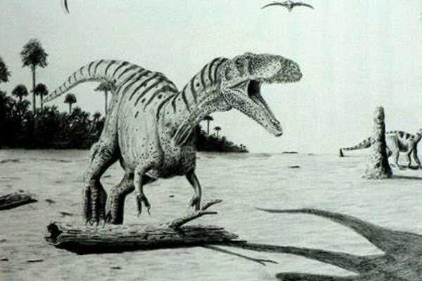 欧洲小型恐龙：似驰龙 两次挖掘都仅出土一颗牙齿