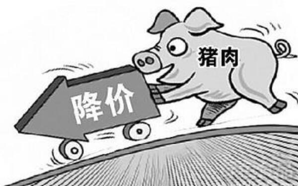 进口冷冻猪肉为什么便宜：养殖成本低，薄利多销占领中国市场