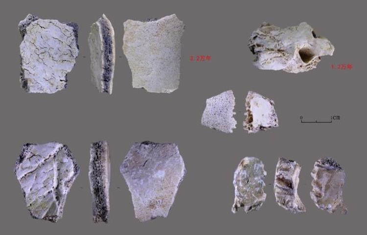 旧石器时代考古新发现国家文物局通报3项重要研究成果