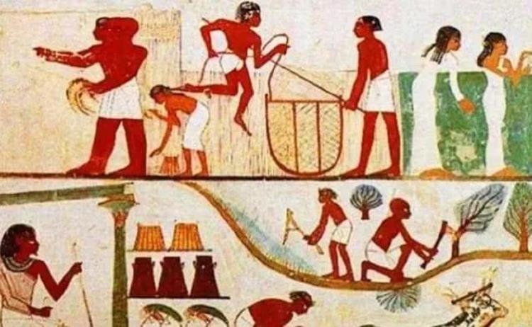 古埃及不可思议的考古发现有哪些,埃及最近考古发现