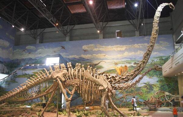 超龙：北美洲超巨型恐龙（长42米-世界上最长的恐龙）