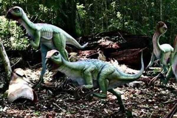 小型白垩纪恐龙-闪电兽龙 身长仅1米(被怀疑是嵌合体)