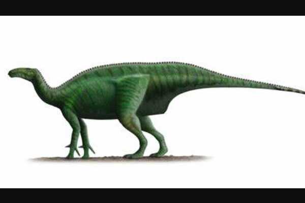 曼特尔龙-欧洲大型恐龙(前肢只有后肢一半-长7米)