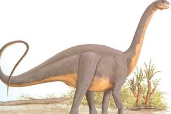 马拉圭龙-南美超巨型恐龙(长25米-能与蓝鲸相比)