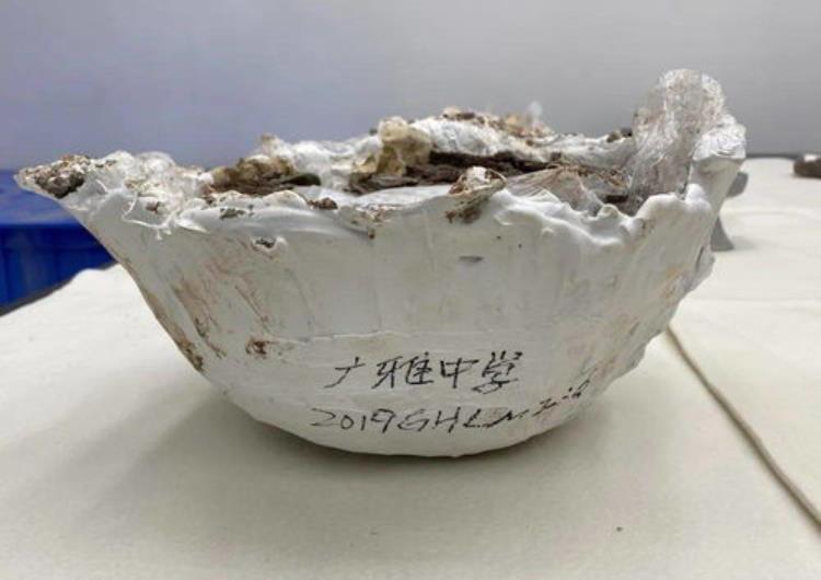 广州史前遗址「寻迹羊城考古发现的广州记忆」