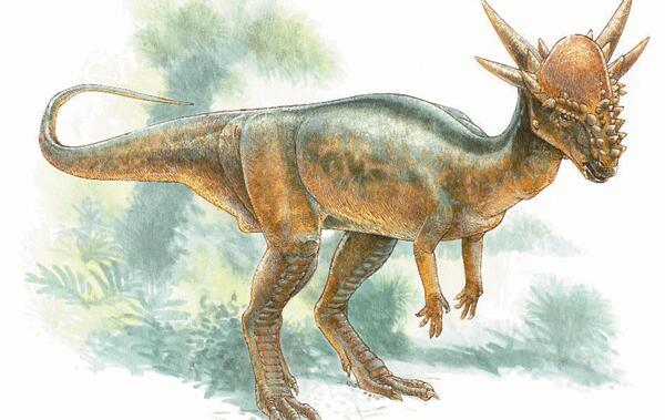 冥河龙：北美洲小型食草恐龙（长3米-长相怪异似羊似鹿）