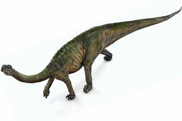 禄丰龙-亚洲出土的唯一板龙科恐龙化石(体长6米)