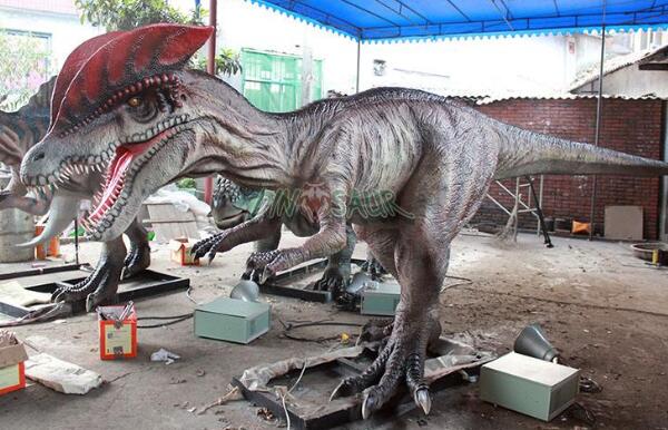 双冠龙：会喷毒液的食肉恐龙（长6米-出土于中国云南）