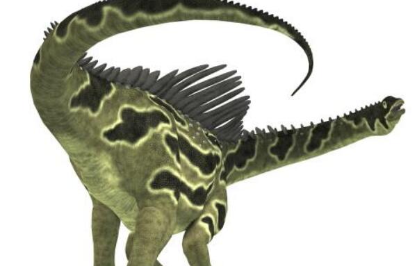 奥古斯丁龙：阿根廷大型食草恐龙（15米-尾巴有身长一半）