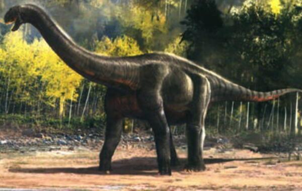 农神龙：南美洲小型恐龙（长2米-世界上最古老的恐龙）