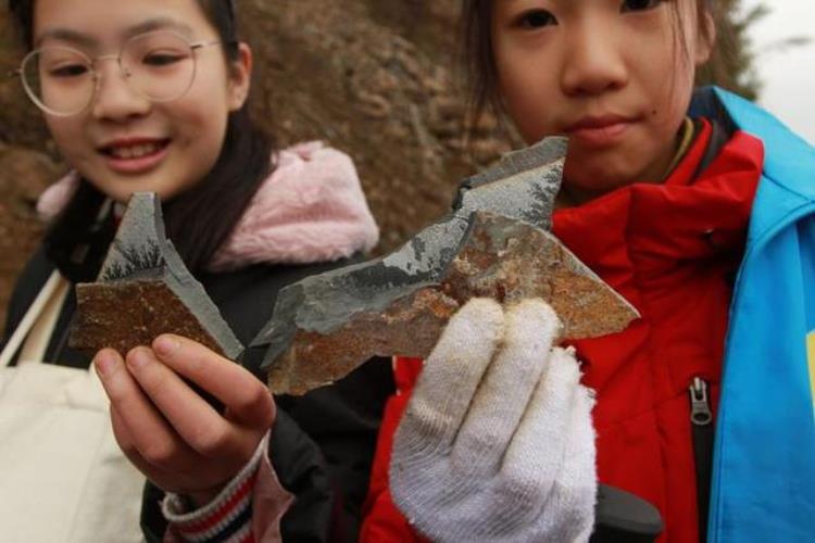 一把锤子敲开四亿年前的秘密还有孩子挖到了奥陶纪时期的三叶虫化石