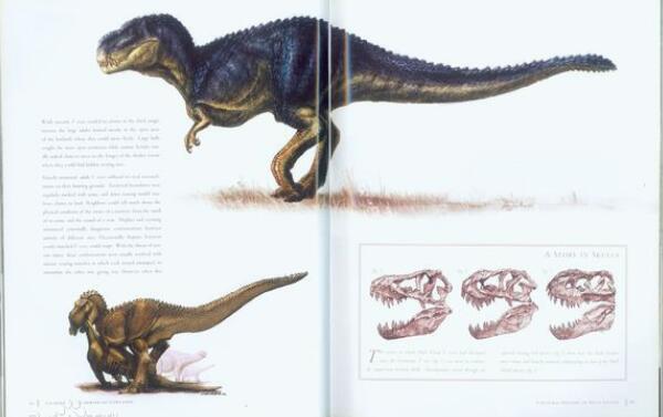 农神龙：南美洲小型恐龙（长2米-世界上最古老的恐龙）