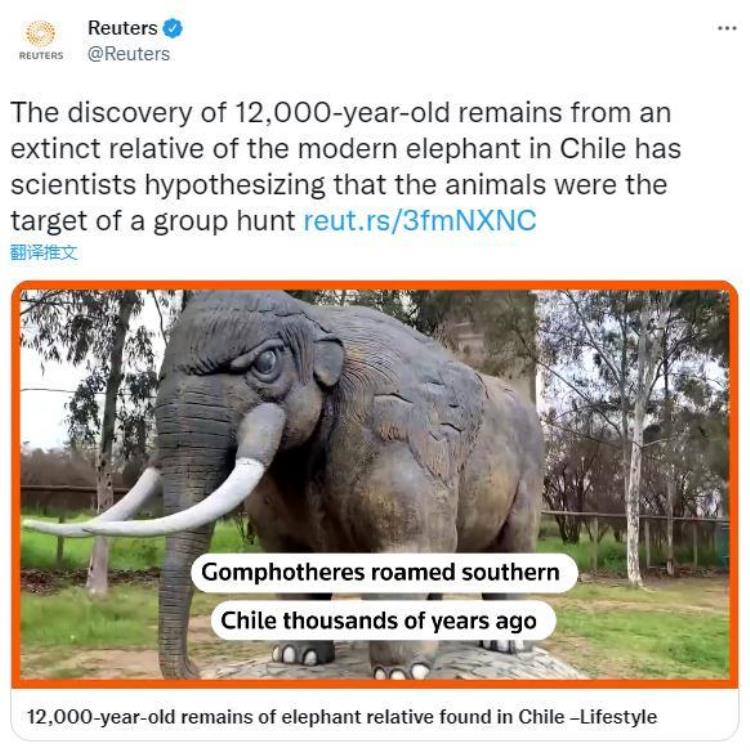 智利科学家发现12万年前动物遗骸或为大象近亲存在,考古学家发现动物化石