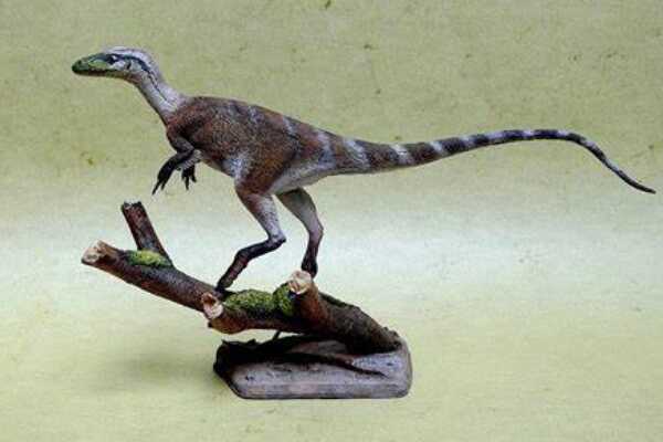 栅齿龙-欧洲小型鸟脚类恐龙(长4.5米-双足奔跑快)