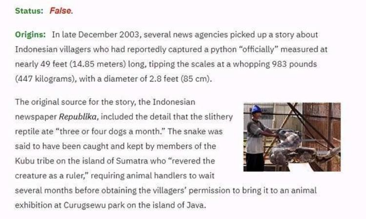 世界上最大的蛇巨蟒到底有多大,世界上发现的最大的巨蟒蛇有多大