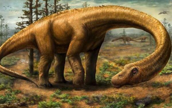 阿马格巨龙：阿根廷大型食草恐龙（长12米-1.25亿年前）