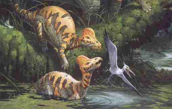 结头龙：北美洲小型食草恐龙（长1米-距今7000万年前）