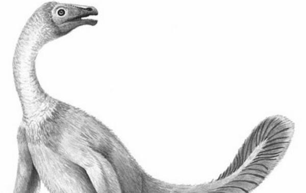北票颌龙：辽宁小型食肉恐龙（长1.8米-距今1.2亿年）