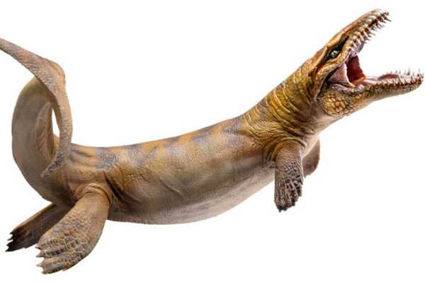 达克龙-拥有海鳄类唯一锯齿状牙齿(海洋顶级掠食者)