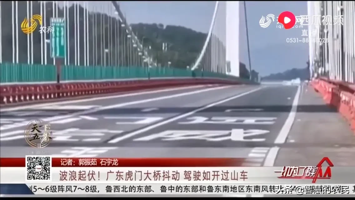 中国桥梁取得的成就,钢结构桥梁