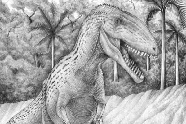 非洲巨型肉食恐龙-始鲨齿龙 牙齿内勾(像匕首一样锋利)