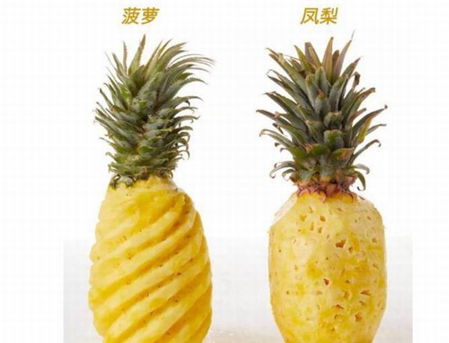 凤梨是不是菠萝-为什么凤梨比菠萝贵很多