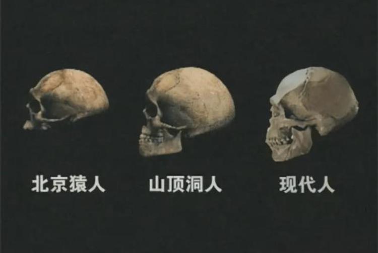 考古表明五万年前的中国先民或打败了非洲智人的入侵