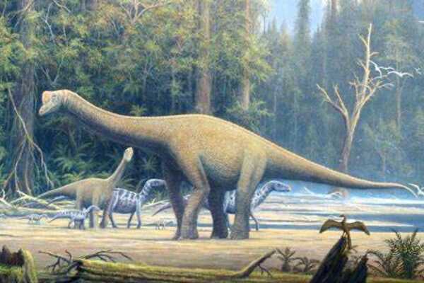 侏儒蜥脚恐龙-欧罗巴龙 长期在岛屿生活(体长仅1.7米)