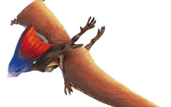 他蓓翼龙：南美洲翼龙类爬行动物（长1米-翼幅长达5米）