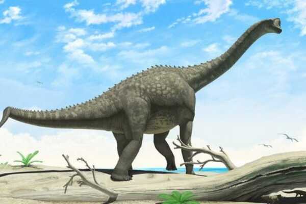 侏儒蜥脚恐龙-欧罗巴龙 长期在岛屿生活(体长仅1.7米)
