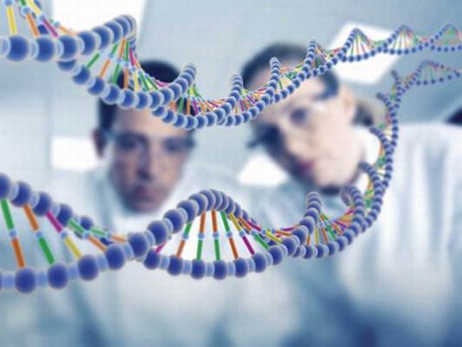 人类垃圾DNA真的无用-卫星DNA意义有哪些