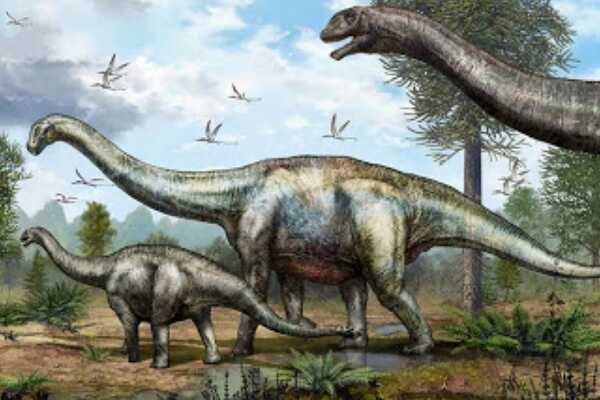 欧姆殿龙-欧洲小型恐龙(长4米-仅出土三根躯干骨骼)