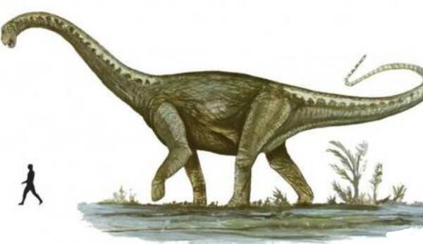 恶魔龙：阿根廷中型食肉恐龙（长5米-距今2.2亿年前）