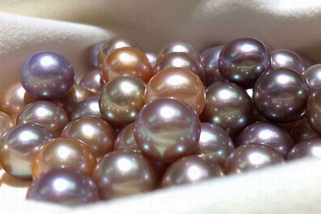 蚌为什么产珍珠-沙粒和寄生虫入侵刺激(分泌珍珠质)