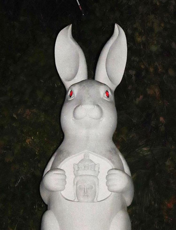 日本寺庙建了个兔子观音像到晚上眼睛发红光