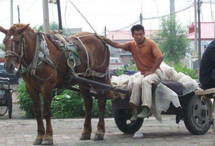 中国古代为何没有四轮马车「中国古代为什么没有四轮马车而西方却有」