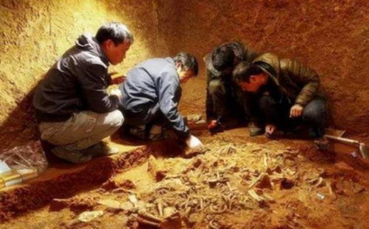 考古学家挖掘古墓有什么讲究,连云港挖到千年古墓