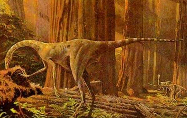 芦沟龙：云南小型食肉恐龙（长2米-距今1.96亿年前）