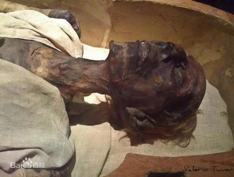 埃及国家博物馆有什么镇馆之宝,埃及博物馆十大镇馆之宝