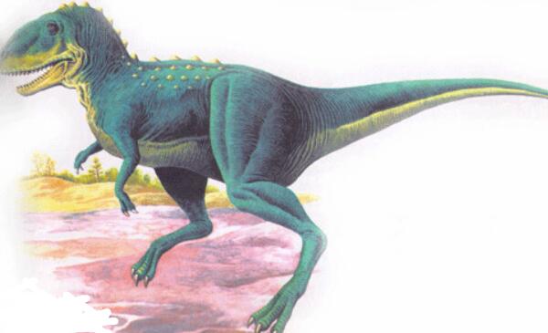 怪踝龙：阿根廷大型食肉恐龙（长8米-距今7000万年前）