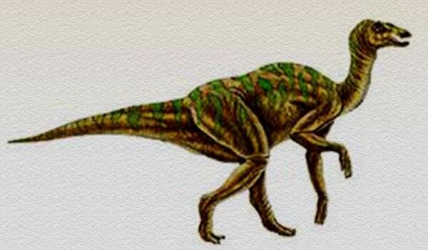 宣汉龙：唯一四足行走的食肉恐龙（长6米-中国四川出土）