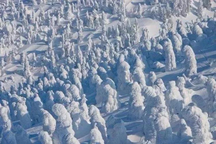 日本雪山惊魂,日本小木屋诡异事件