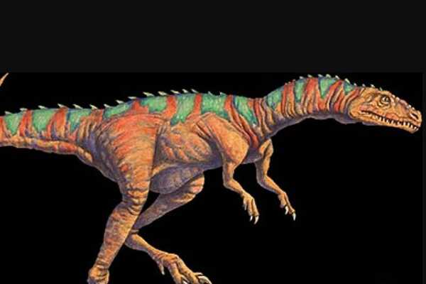棘鳄龙-小型远古爬行动物(长3米-仅出土脊椎化石)