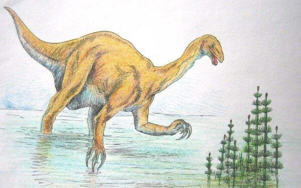 芦沟龙：云南小型食肉恐龙（长2米-距今1.96亿年前）