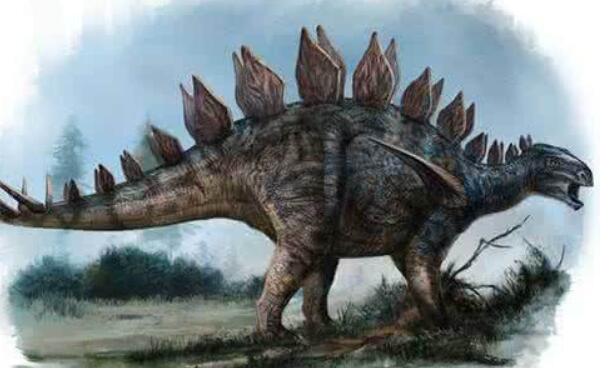 似鳄龙：非洲大型食肉恐龙（长11米-有类似鳄鱼的嘴巴）
